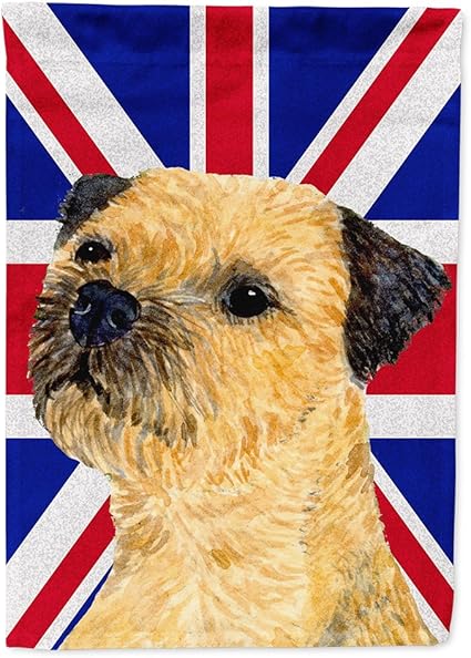 large border terrier