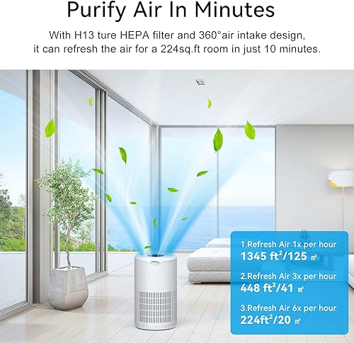 Miniatura 3 de Tailulu H13 True HEPA - Purificadores de aire para el hogar habitación grande de hasta 1345 pies cuadrados filtro de aire HEPA para purificar humo