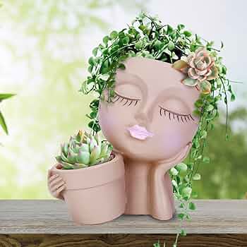 顔型　プランターセット　鉢　花瓶　多肉植物　観葉植物　おしゃれ　ガーデニング Amazon.co.jp: 家庭菜園 セット マルチフェイス多肉植物