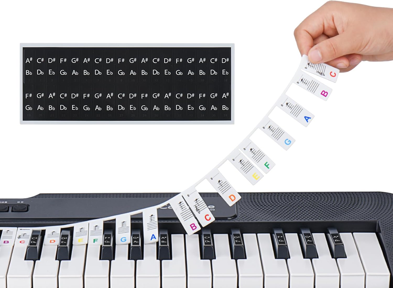 Removable Piano Keyboard Note Labels,88Key Full Size Piano