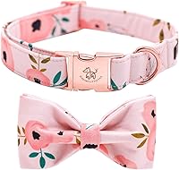 Vista 30 de Elegant little tail - Collar de otoño para mascotas con corbatín, lindo collar de Halloween con estampado de flores y calabaza para cachorros