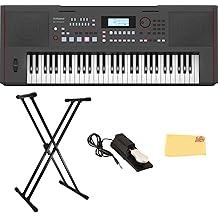 Roland E-X50 Electronic Arranger Keyboard Bundle with Sustain Pedal, Adjustable Stand, Online Piano Lessons, and Austin Bazaar Polishing Cloth