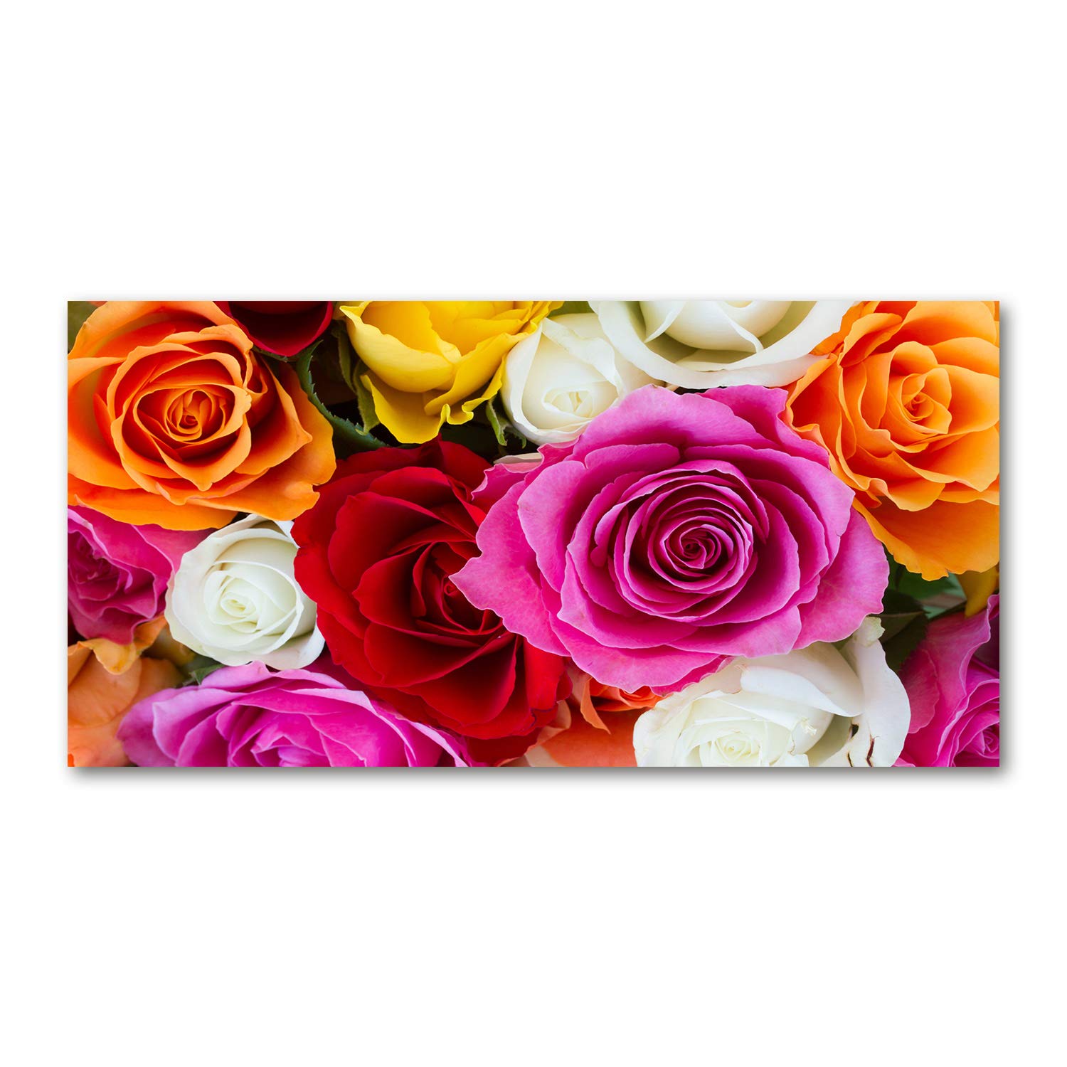 Tableau sur verre panoramique 120x60cm de roses colorées pour sublimer votre cuisine