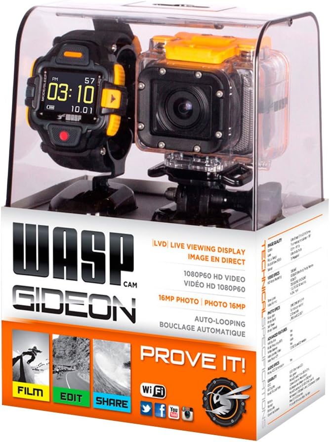 Wasp am Gideon Led Remote