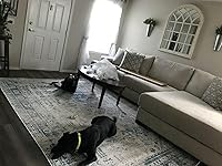 Review Image by Donovan Gonzalez Donovan Gonzalez