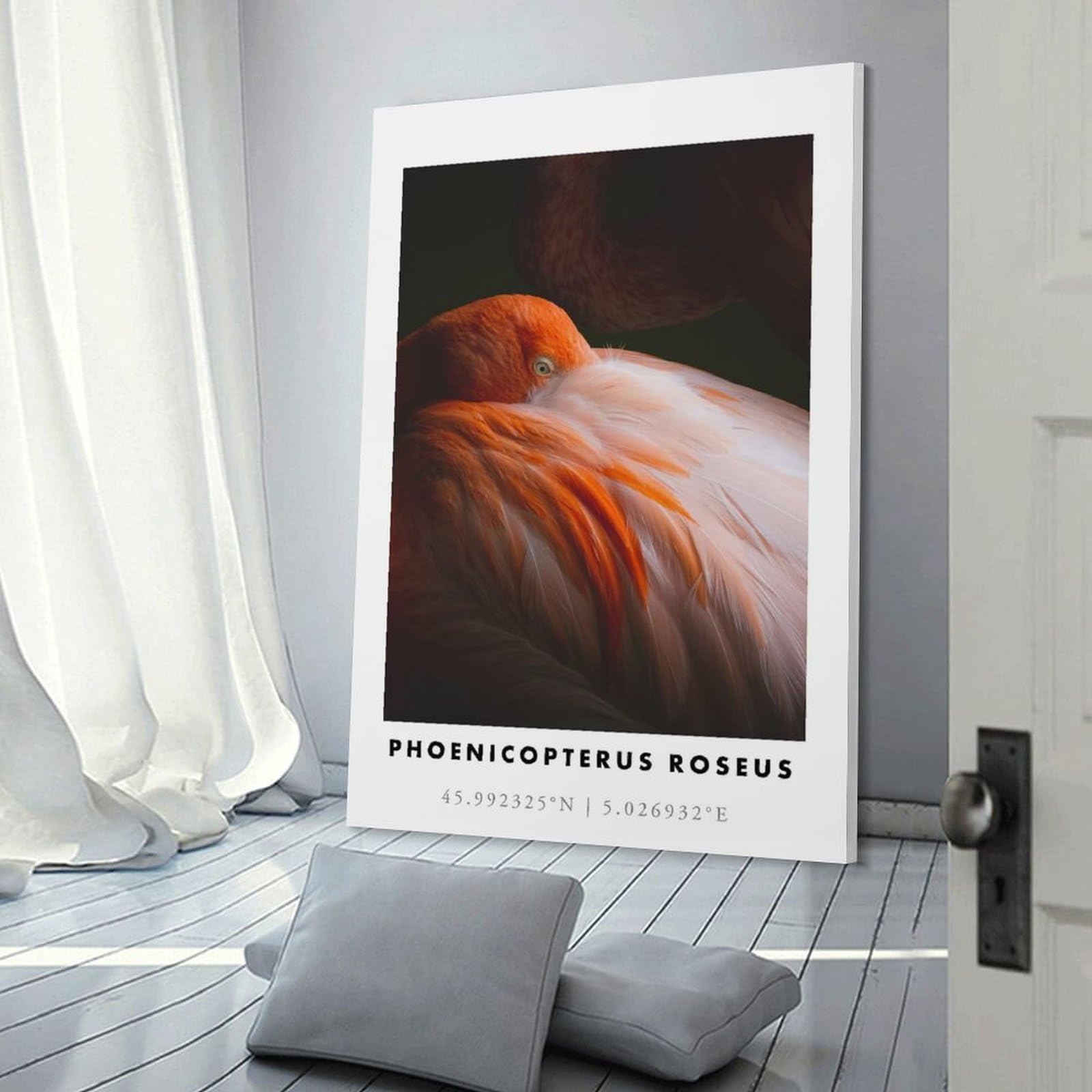 Home Decor Wall Art Pink Flamingo Close-up, 12x18inch(30x45cm), for New Homes, Bedrooms Or Workspaces, Decorative Present for New Homes