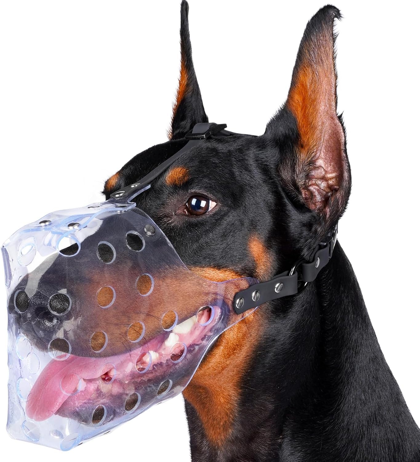 Mayerzon Dog Muzzle, Basket Muzzle for Small, Medium, Large Dogs, Plastic, Clear, Prevent Biting, Breathable, Husky, Golden Retriever, Labrador, Beagle