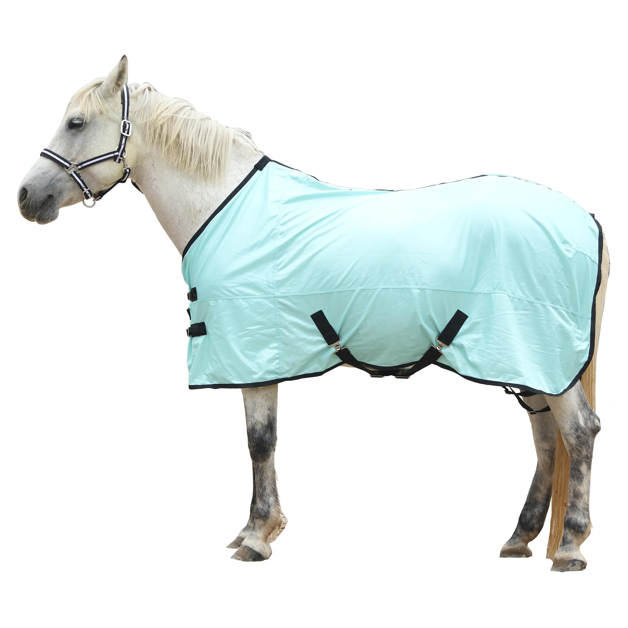 Gallopoff Fliegendecke für Pferde, atmungsaktive Sommerdecke mit UV-Schutz und Kratzschutz, mit verstellbarem Brustverschluss, Kreuzgurt und Beinschnüren Grün 125 cm