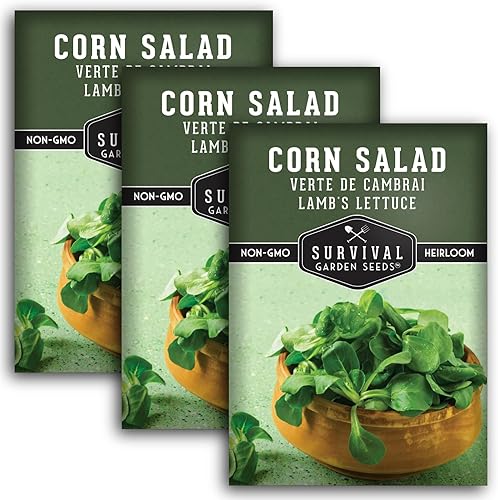 Miniatura 9 de Ensalada de maíz Verte de Cambrai Semillas para plantar, 1 paquete con instrucciones para plantar y cultivar lechuga de cordero o macé en tu huerto