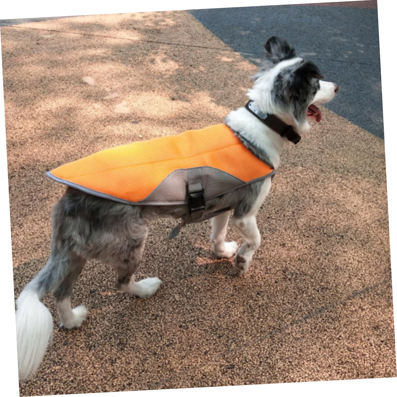 Housoutil Gilet Rafraîchissant pour Chien Polyester Orange Vêtement Respirant pour Chiens Taille 2XL