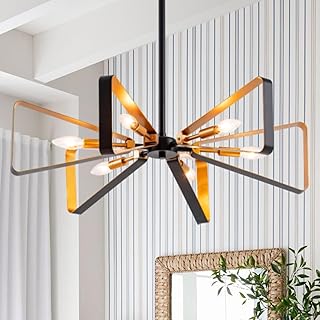 VILUXY Contemporary Hanging Chandelier Lighting Fixture Matt Black and B...