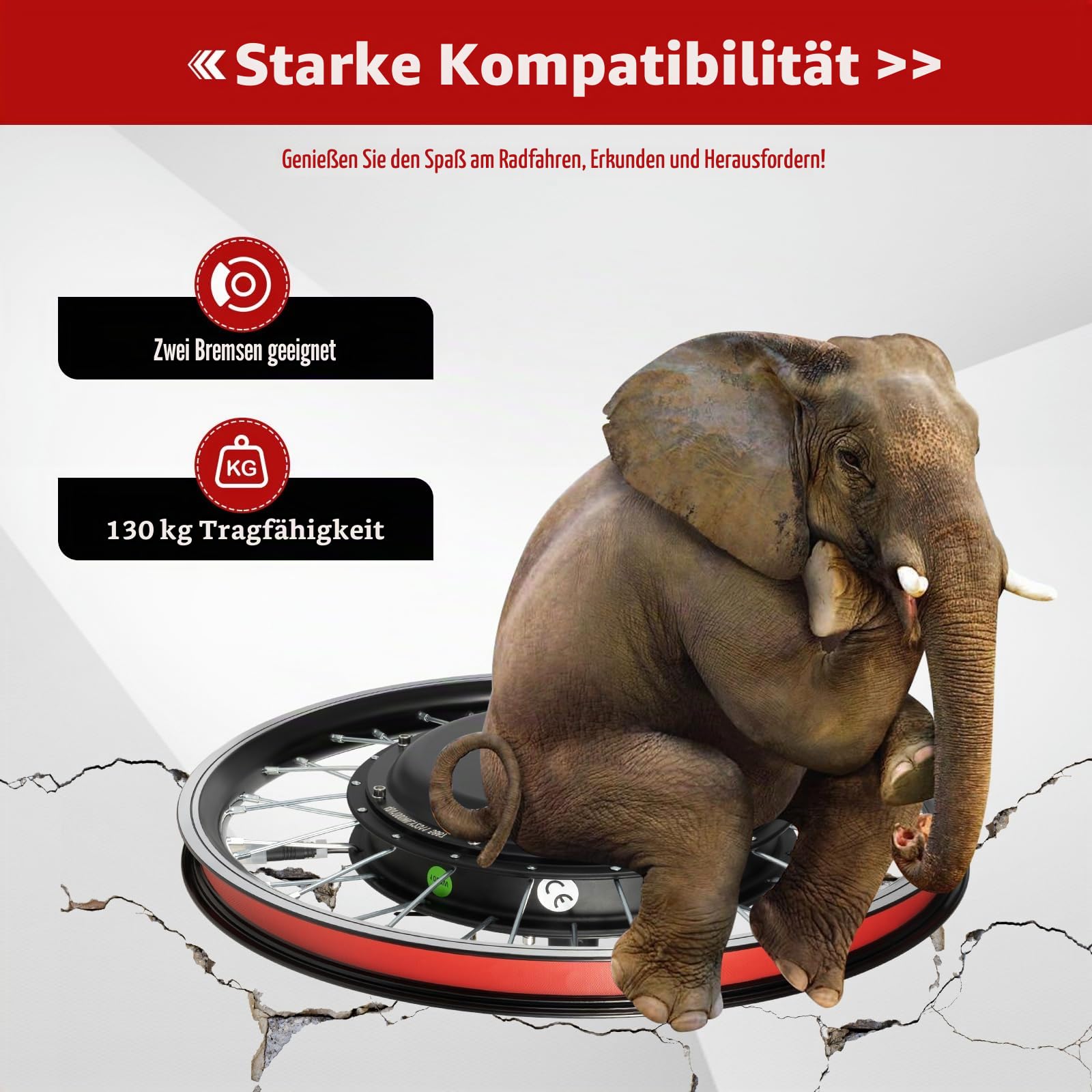 20 Zoll Ebike Umbausatz,48V 1000W Vorderrad Umbausatz Kit für Brushless Nabenmotor,Elektrofahrrad Umbausatz Ebike Conversion Kit mit LED Display,Integrierte Controller (48V 1000W Vorderrad)