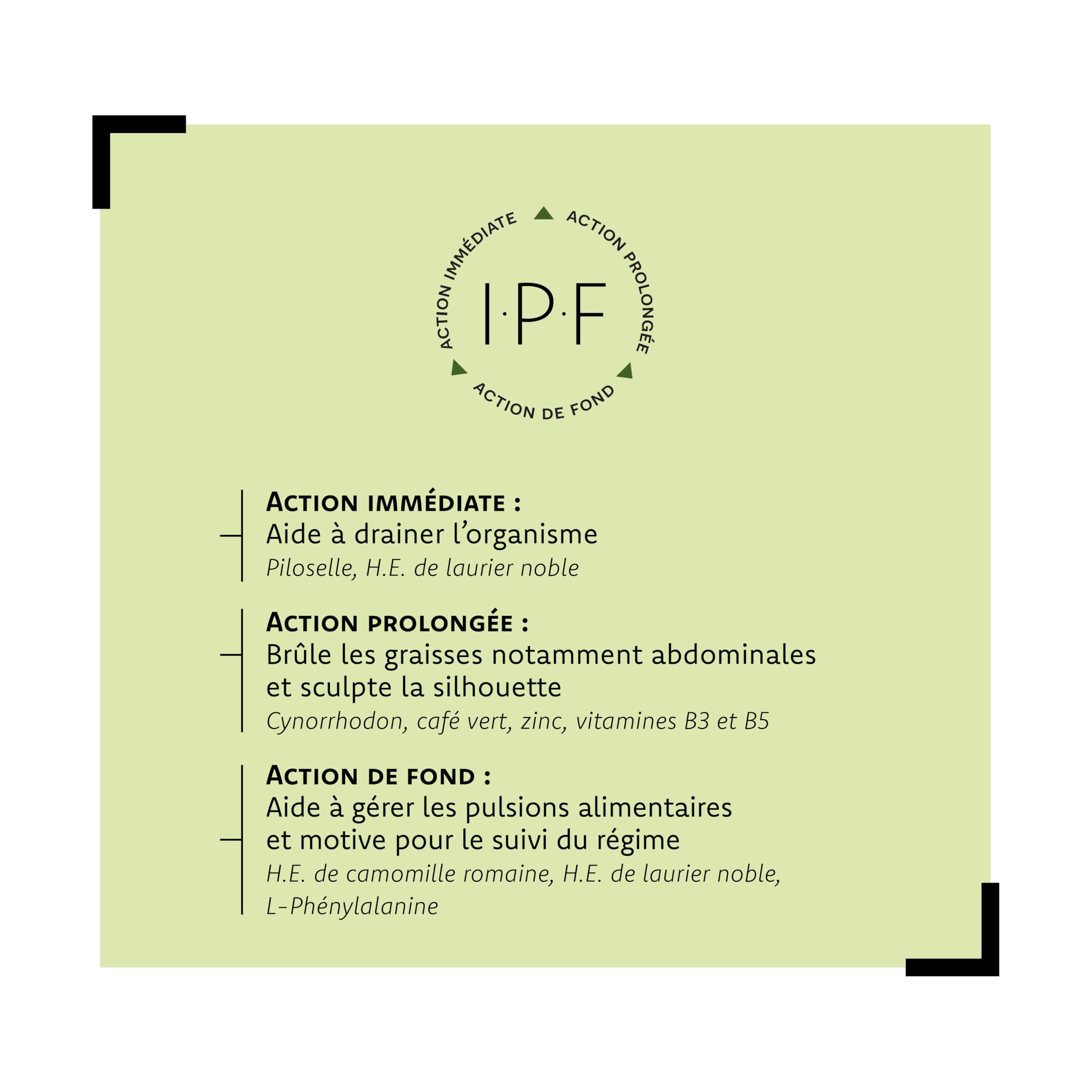 Lipoactifs - Complement Alimentaire Brule Graisse, Draineur - Café Vert, Piloselle, Huiles Essentielles, Vitamines B, Zinc - Aragan - 30 Jours