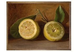 Vintage Lemon Decor - Yellow Lemon Kitchen Decor for Farmhouse