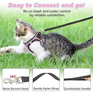 SALFSE Cat Harness and Leash for Walking Escape Proof, Adjustable Kitten Vest Harness Reflective Soft Mesh Puppy Harness for Outdoor, Comfort Fit, Easy to Control (Lpink, M)