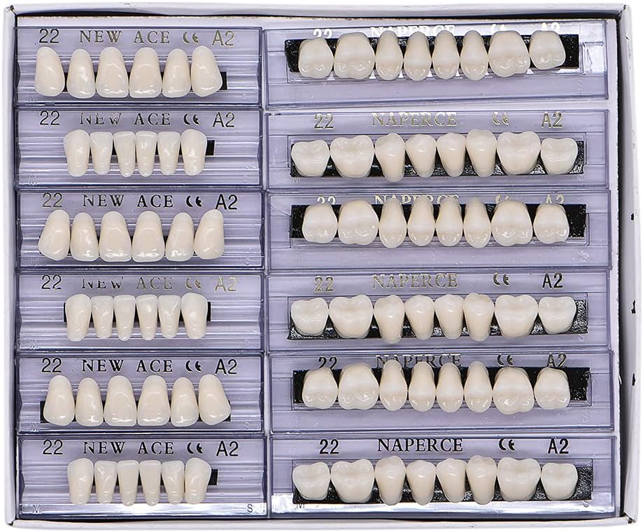 168 Pcs Dental Synthetic Resin Tooth Denture 6 Sets False Teeth 22 A2 Upper Lower Shade Dental for Halloween Horror Teeth (22 A2)