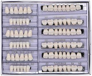 168 Pcs Dental Synthetic Resin Tooth Denture 6 Sets False Teeth 22 A2 Upper Lower Shade Dental for Halloween Horror Teeth (22 A2)
