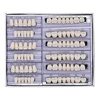 Vista 1 de 168 piezas dentales de resina sintética dental, 6 juegos de dientes falsos 22 A2 sombra superior inferior dental para dientes de terror de Halloween