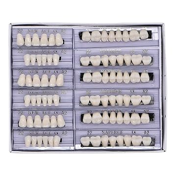 168 Pcs Dental Synthetic Resin Tooth Denture 6 Sets False Teeth 22 A2 Upper Lower Shade Dental for Halloween Horror Teeth 22 A2