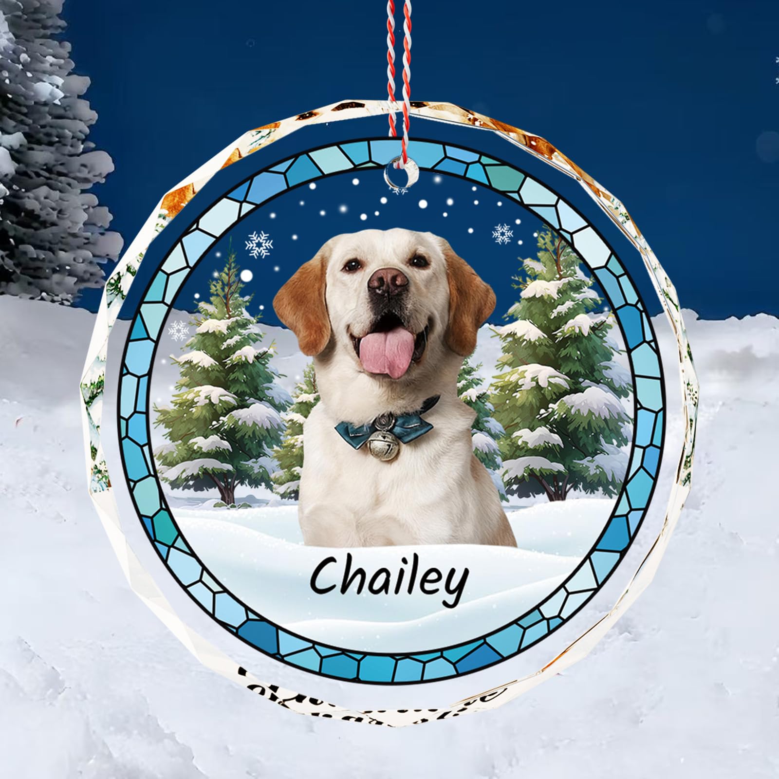 Bemaystar Personalised Christmas Bauble with Photo for Dogs 2025 - Original Christmas Decoration, Gift for Your Dog's First Christmas