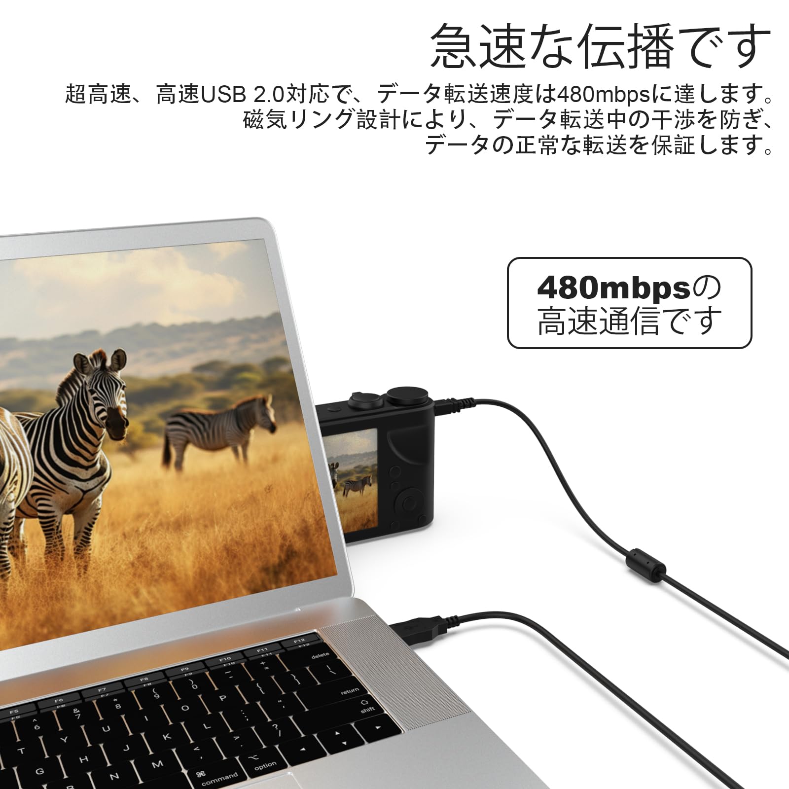 Amazon.co.jp: UC-E6 USB カメラ接続ケーブル Nikon デジタル一眼レフ