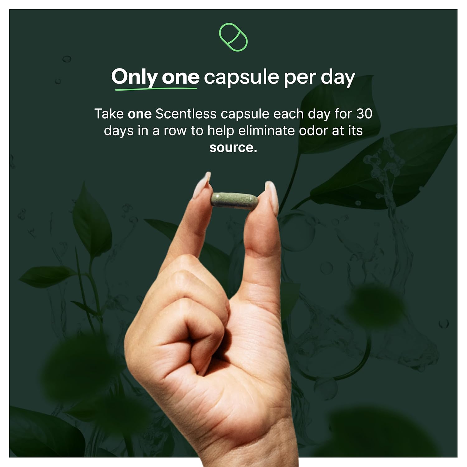 Scentless Internal Deodorant – Mint, Parsley & Chlorophyll Capsules for Body Odor – Aluminum-Free Body Deodorizing Supplement – Odor Control Natural Deodorant – Body Deodorizing Capsules – 30 Count - Image 6