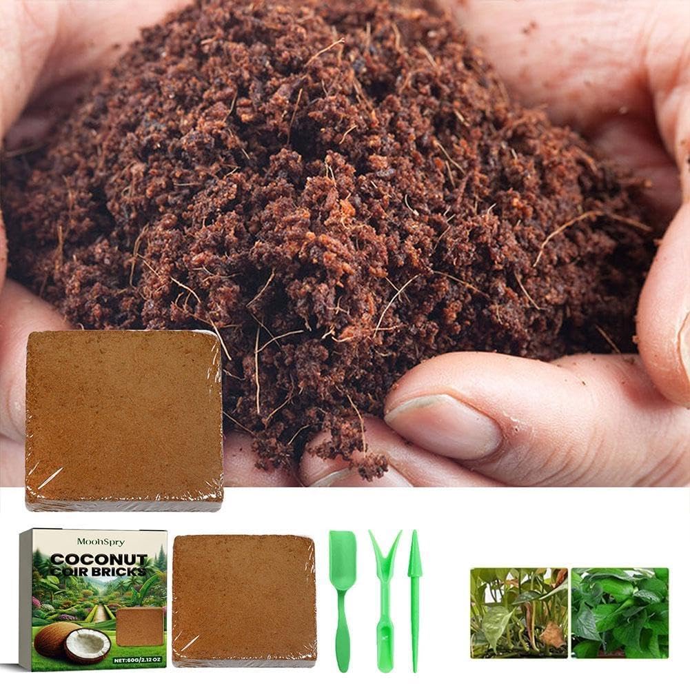 Substrato in fibra di cocco per rettili, biancheria da letto naturale per terrari per tartarughe e lucertole, forniture ecologiche per rettili, ideale per il supporto dell'habitat, 5 l