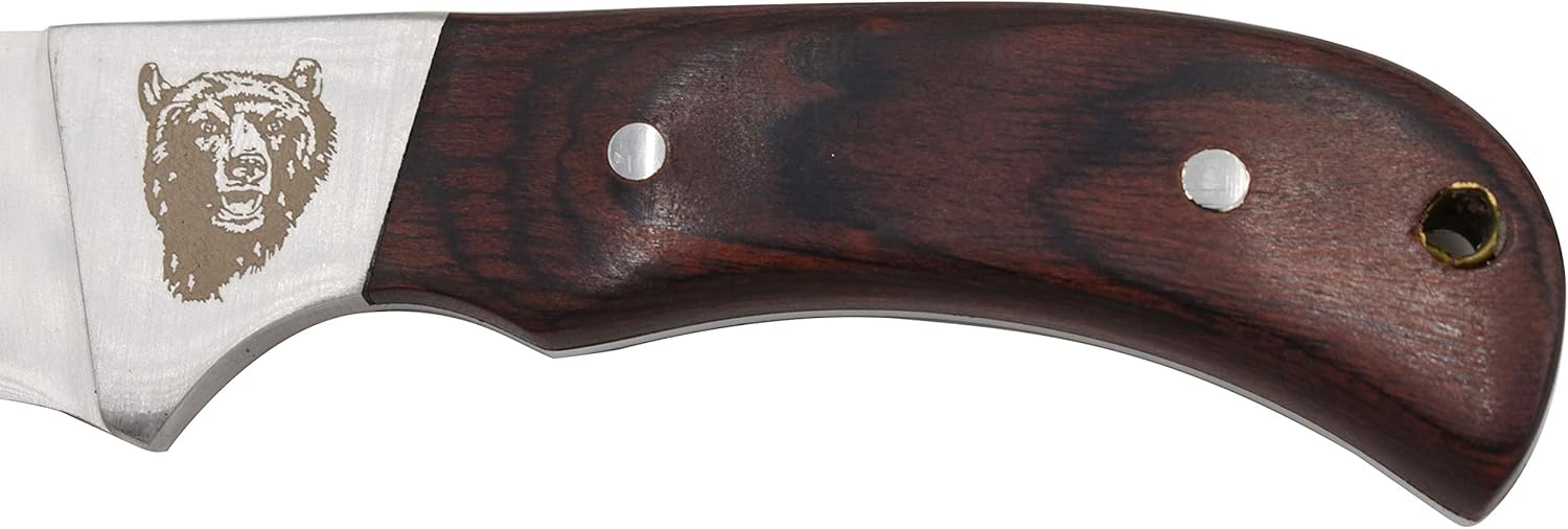 8- Inches Bear Graphics Fixed Blade Hunting Outdoor Knife Wooden Handle