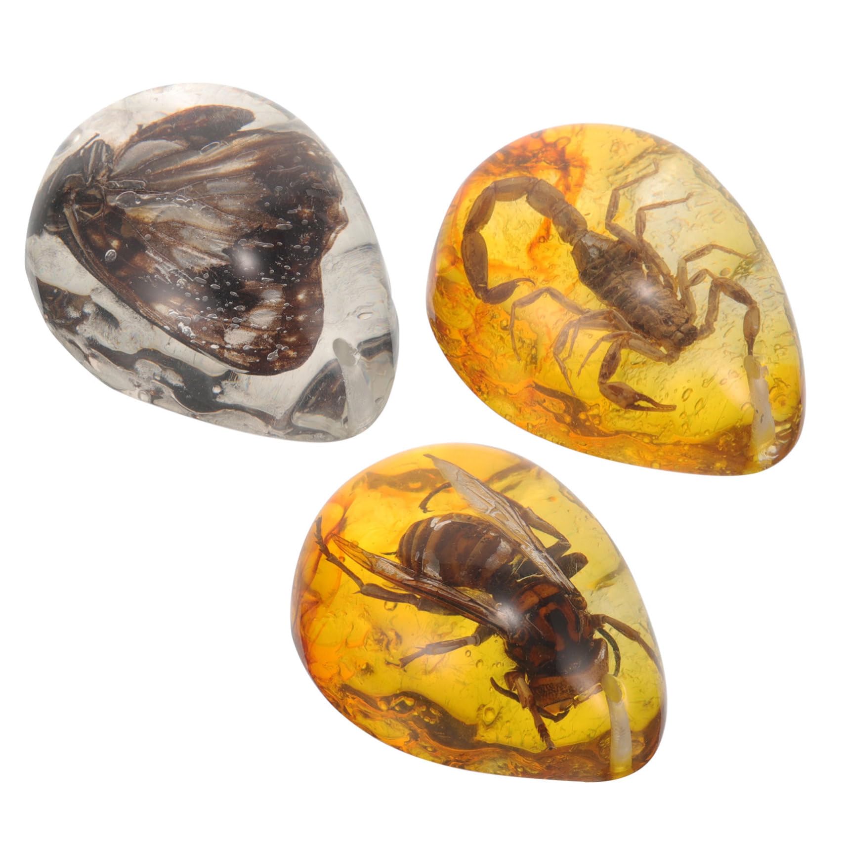 TOYANDONA 15pezzi Insetti Decorazioni Per Collezionisti e Appassionati Insetti Specimen e