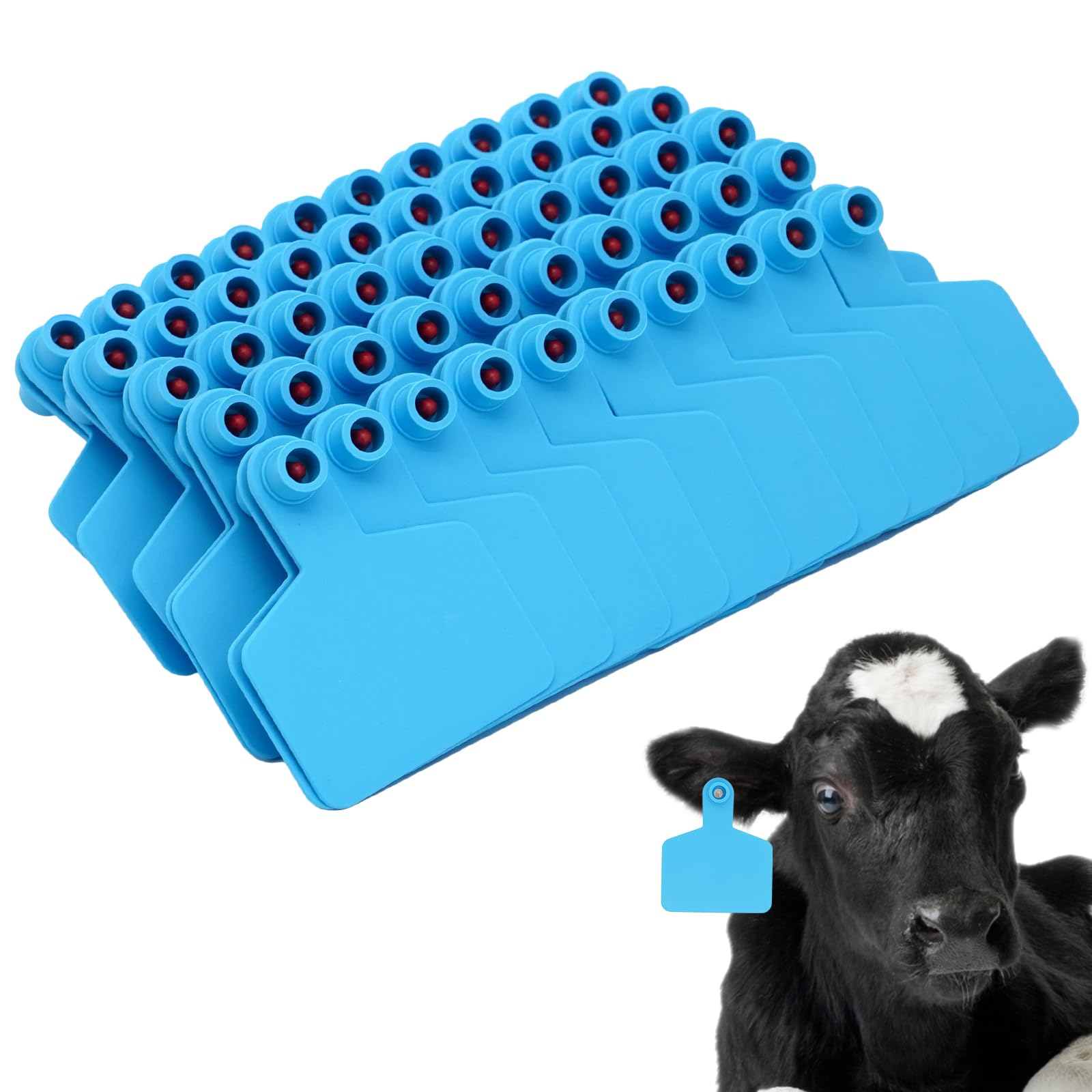 100 Pièces ÉTiquettes D'Oreilles Vierges Etiquettes D'oreille en Plastique pour Animaux Identification du Bétail Étiquettes d'oreille pour Moutons Chèvres Vaches Bovins Porcs Ferme (Bleu)