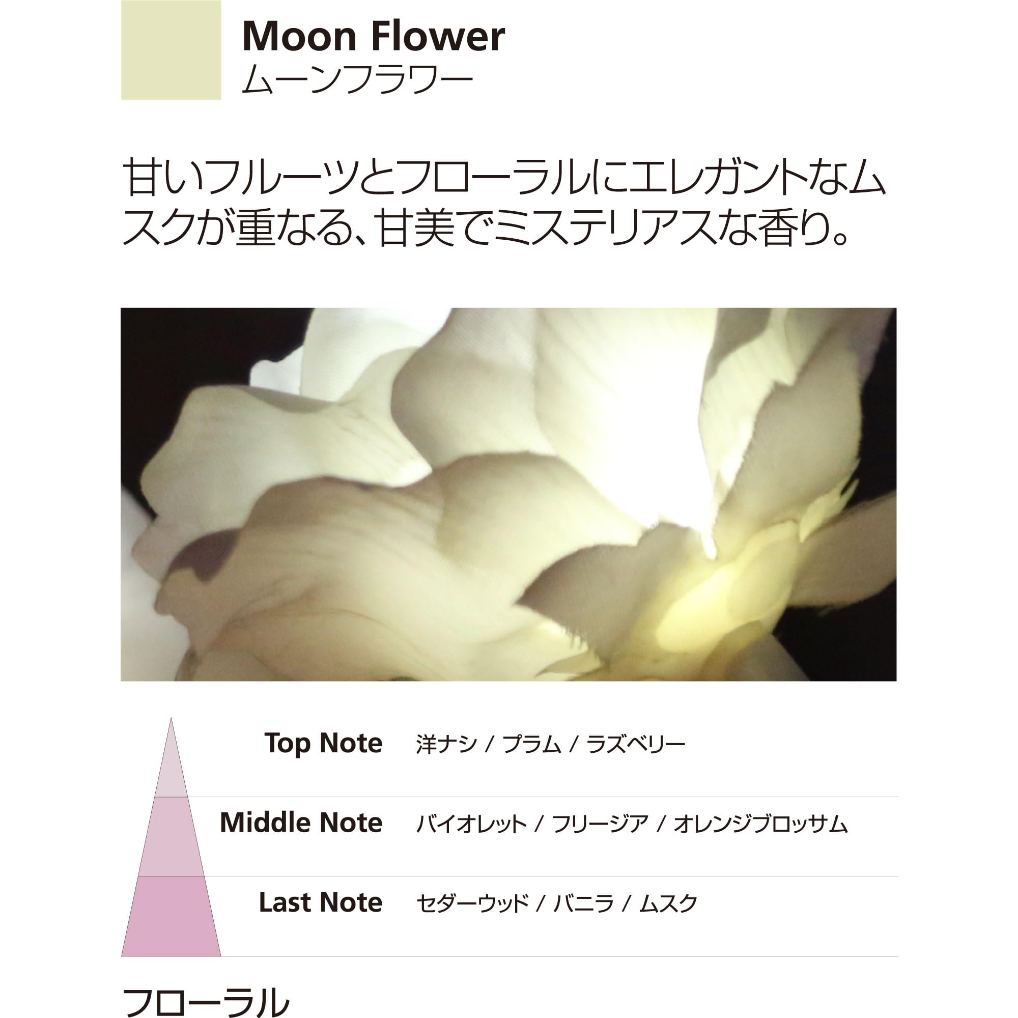 Amazon.co.jp: Millefiori フレグランスディフューザー [ZONA