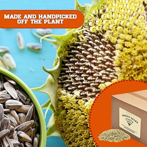 Miniatura 5 de Presto Sales LLC - Semillas de girasol, sin cáscara, de primera calidad, aptas para el uso de la cocina, veganas, empaquetadas en bolsa resellable