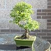 Product Photo 6