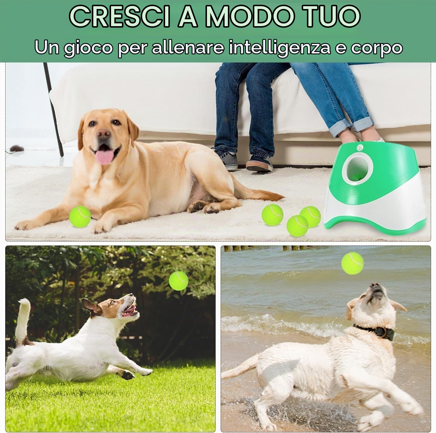 Lanciatore Automatico di Palle Per Cani, Lanciatore di Palline Per Animali Domestici Interattivo Ricaricabile in 3 Modalità Per Interni Ed Esterni con 3 Distanze di Lancio Per Cani di Piccola E Media