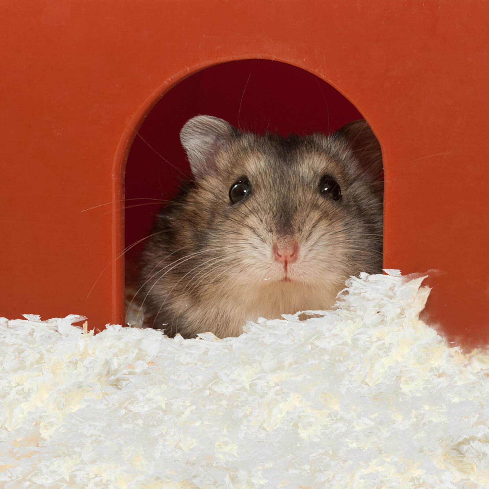 SHINEOFI Lettiera in Carta per Piccoli Animali Assorbente 1 Confezione | Bianco, per Gerbilli in Acquari e Gabbie, Materiale in Carta, Uso per Habitat