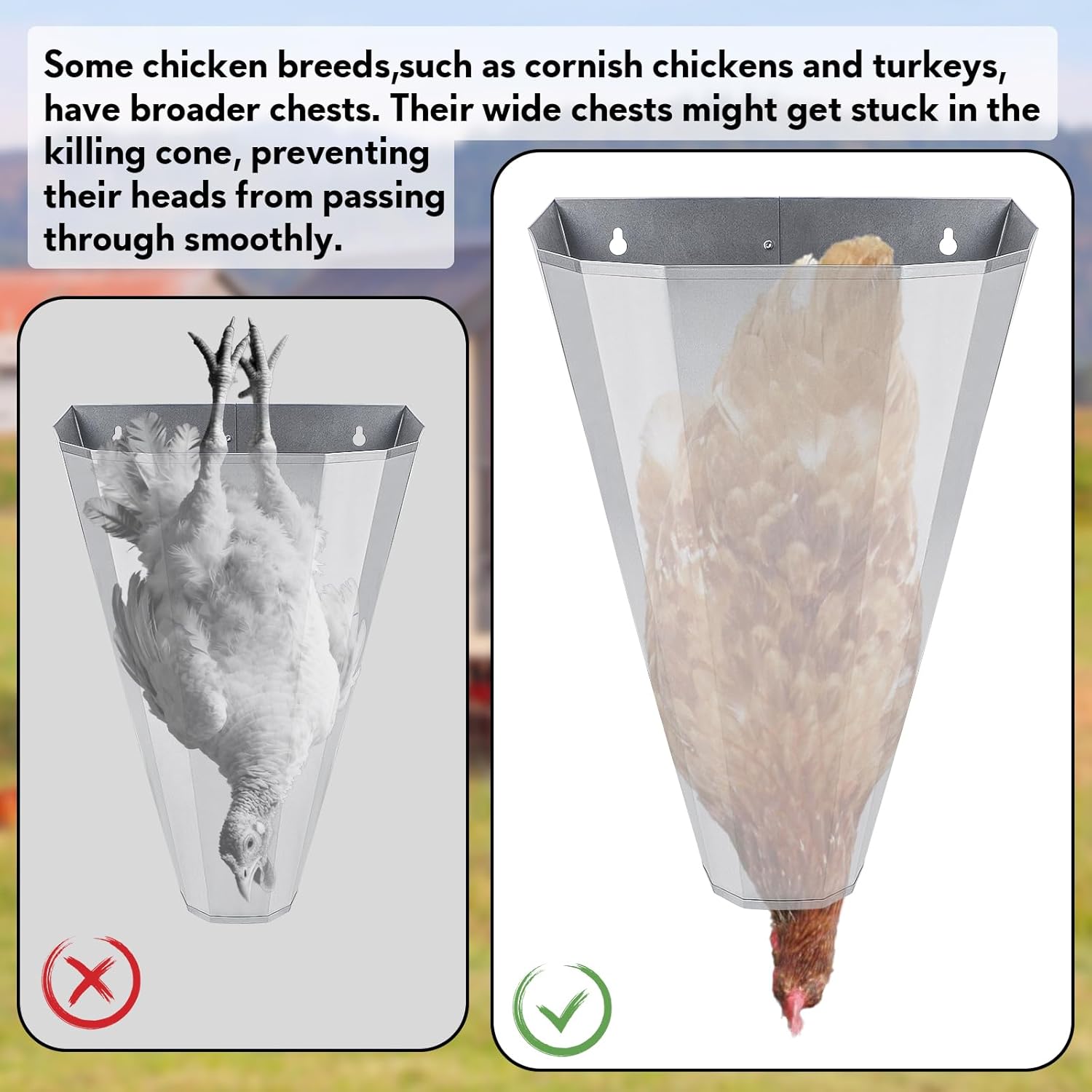 Medium Size Chicken Cone, Galvanized Steel Poultry Restraining Cone for Chicken, Broilers, Roasters, Turkeys Up to 8 Pounds, Flat-Back Poultry Killing Cone, Easy to Clean (4 Pack)