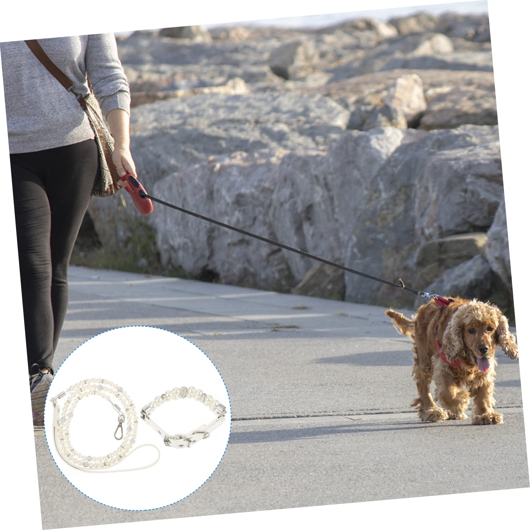 COLLBATH Set 2 Pezzi Collare e Guinzaglio per Cane Perle Regolabile in Pelle Pu per Cuccioli, per Addestramento e Feste di Animali Domestici