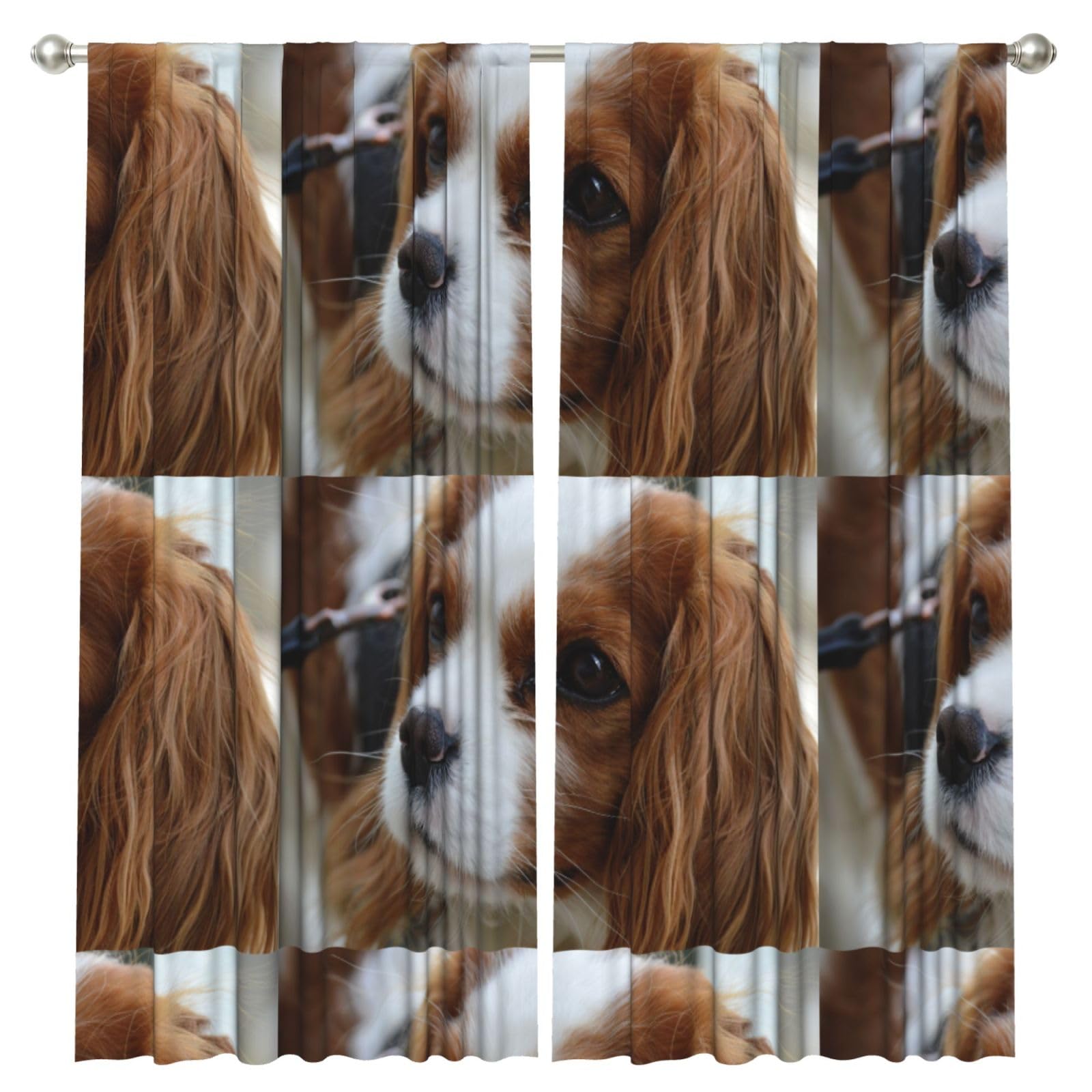 InOmak Cute Cavalier King Charles Spaniel, 2 Panels Window Curtains 52 x 84 Inch Blackout Curtains for Living Room Bedroom
