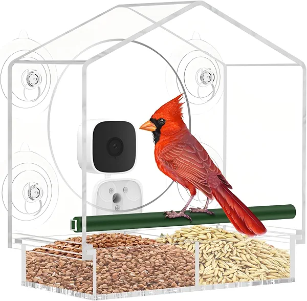Window Bird Feeder with Camera, Smart Clear Birdfeeder for Outside, 2K HD Live View & AI Bird 10000+, Window Bird House Feeder with 6 Suction Cups