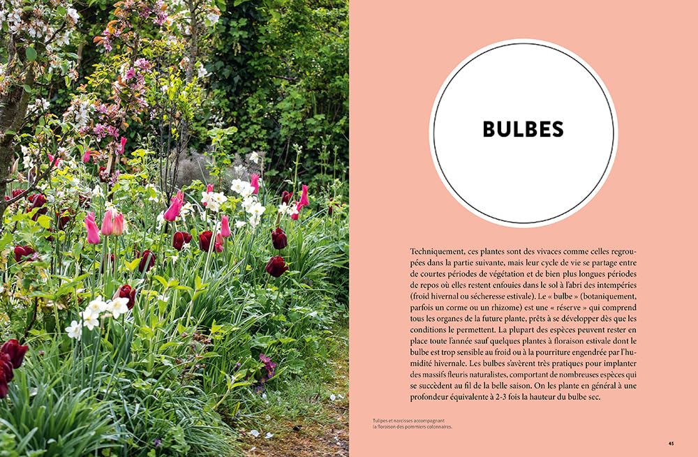 Les 900 plantes de jardin à connaître
