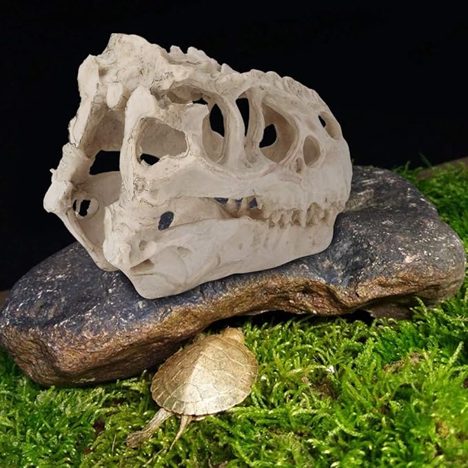 【𝐑𝐚𝐦𝐚𝐝𝐚𝐧 𝐏𝐫𝐨𝐦𝐨𝐭𝐢𝐨𝐧】 Tyrannosaurus Landscape Aquarium Skull Ornaments