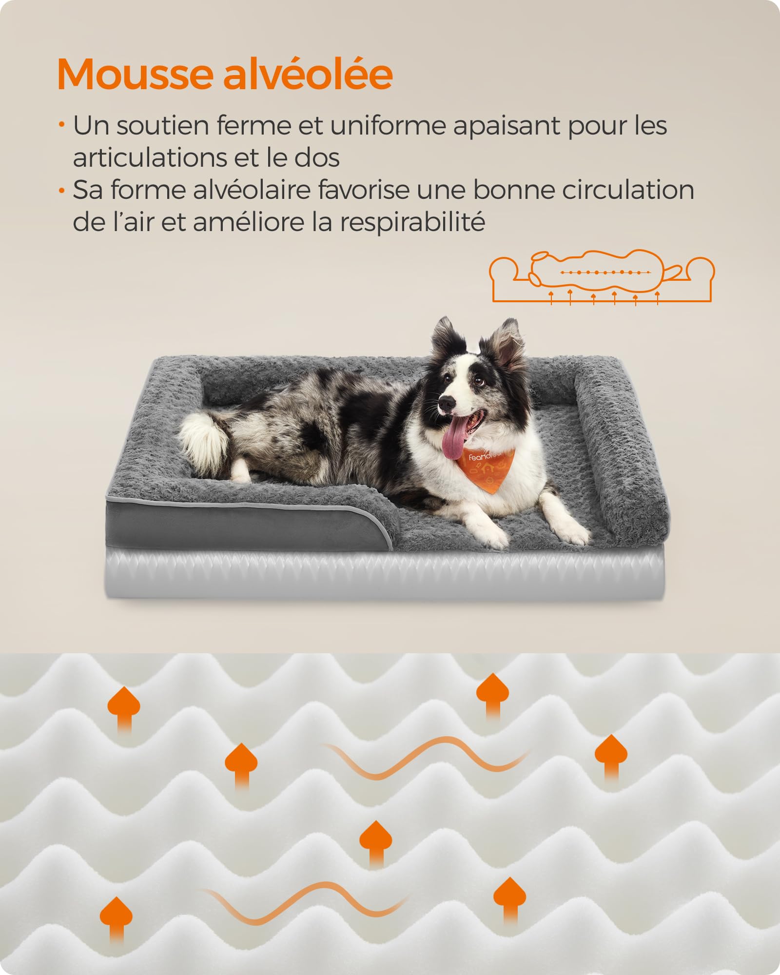 Feandrea Panier pour Chien, Lit pour Animal, Orthopédique, Mousse Alvéolée, Bords Surélevés Rembourrés, Housse Amovible en Tissu Peluche aux Motifs Roses, 106 x 76 x 16 cm, Gris Ardoise PGW253G02