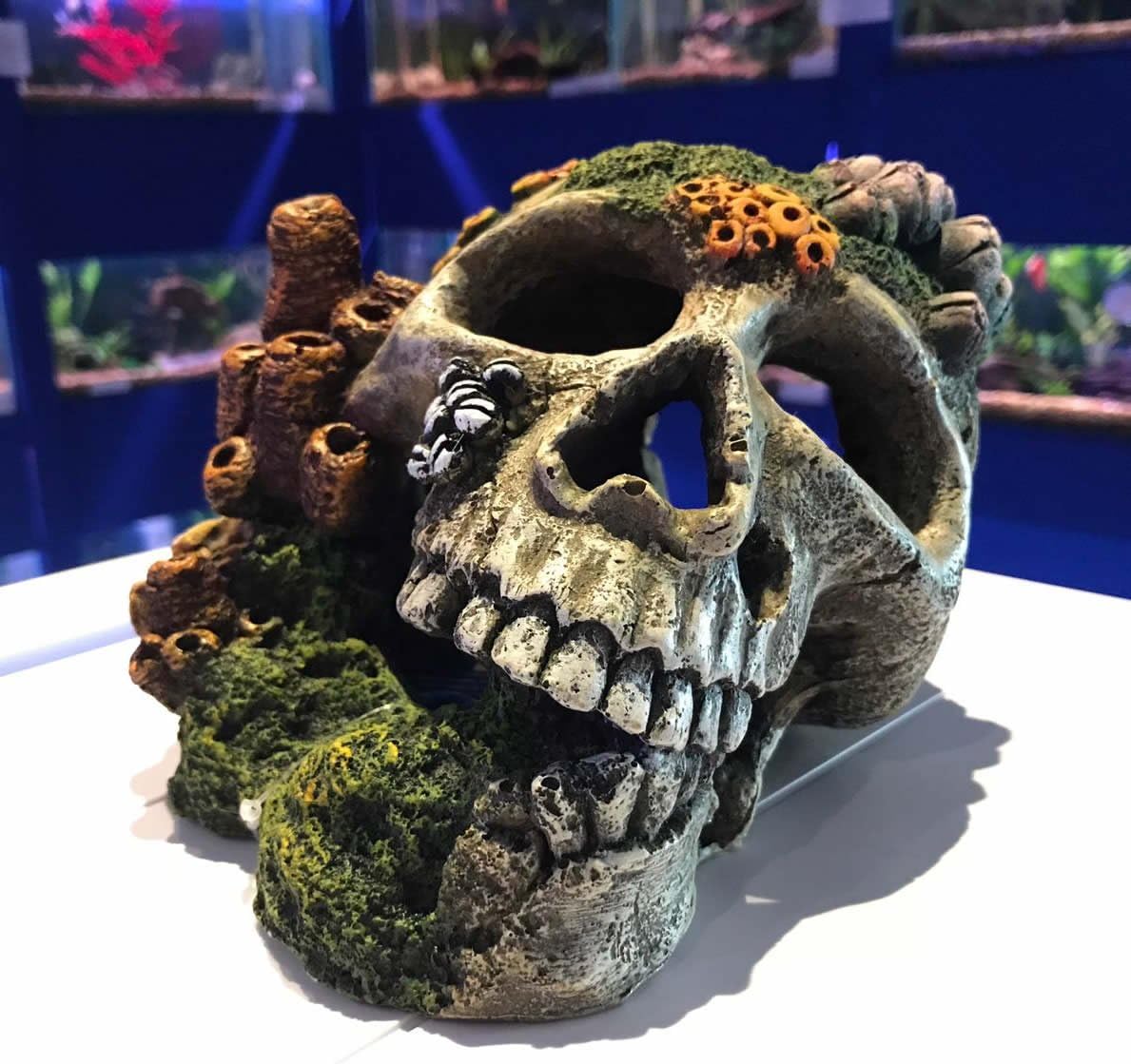Mezzaluna Gifts Large Skull & Corals Aquarium Fish Tank Ornament with Connected Air Stone