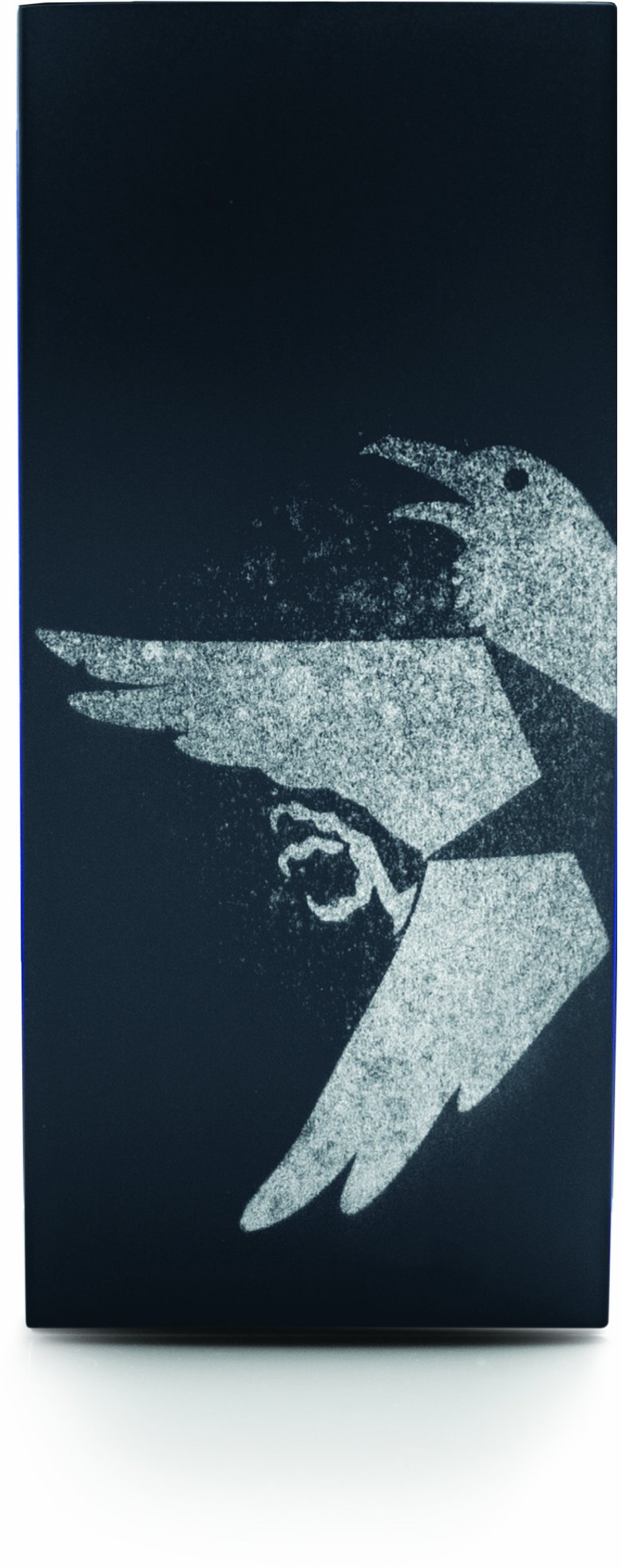 Sony Computer Entertainment inFAMOUS Second Son Faceplates for Gold Headset