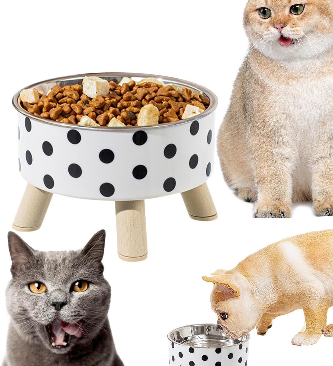 AMPLIN High Rise Cat Bowl - Stainless Steel Cat Food Plate Protecting Spine, Stylish Pet Supplies, Detachable Cat Bowls for Kitten, Cat Feeding, Optimal Eating Posture