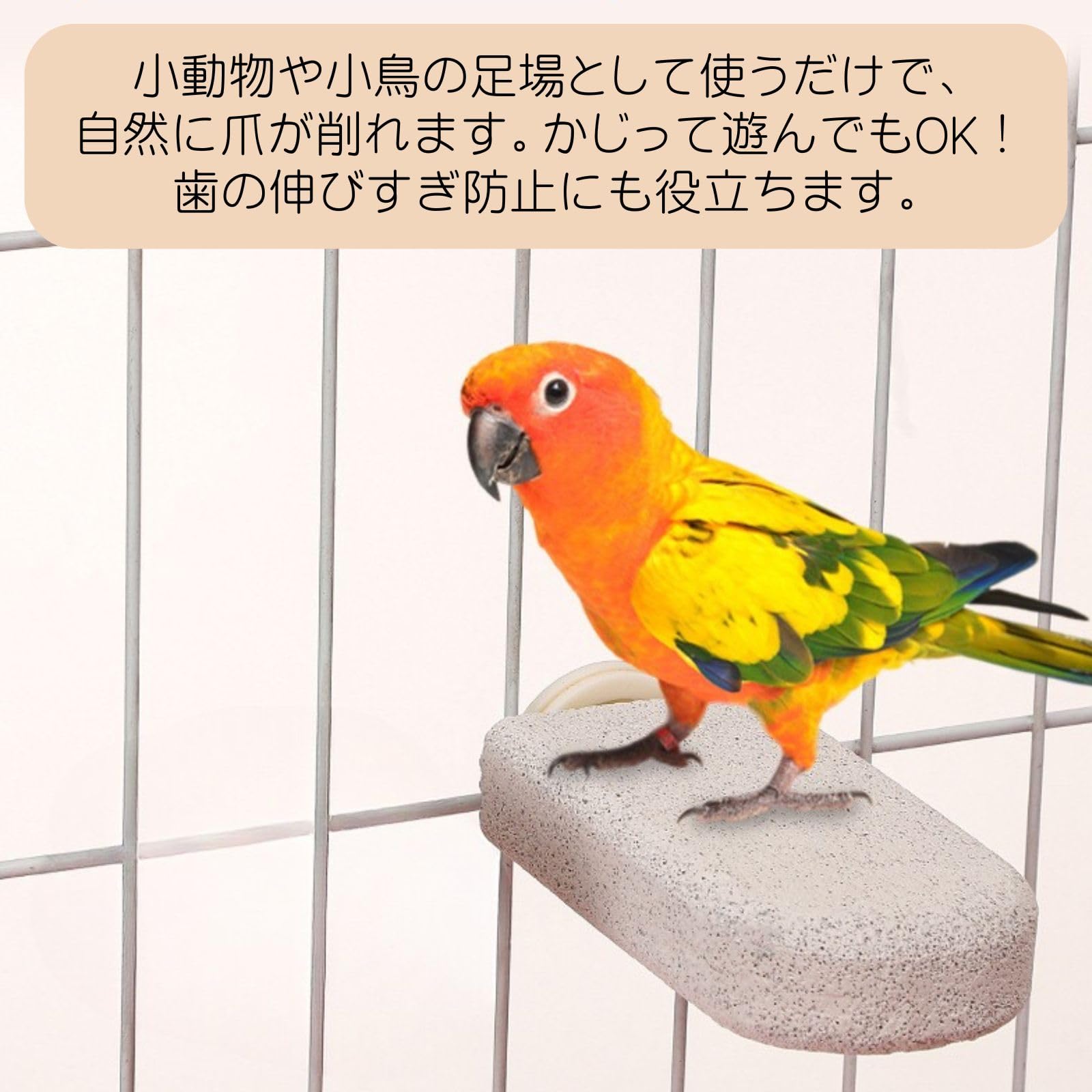 Amazon | モモンガ ハムスター 爪研ぎ デグー 小動物 ステップ 軽石