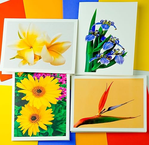 Miniatura 72 de Blooming Flowers – Orquídea Phalaenopsis – Tarjetas fotográficas de alta gama, pesadas y suaves, 8 con 10 sobres de colores, juego en caja