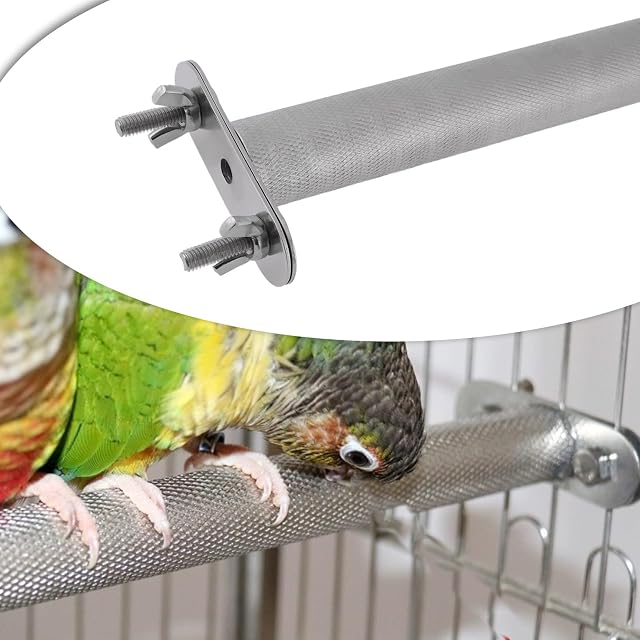 Foto 3 de 7 de eMagTech 1 Percha para Pájaros de Acero Inoxidable Ideal para Periquitos Cacatúas Y Loros Grises Africanos…
