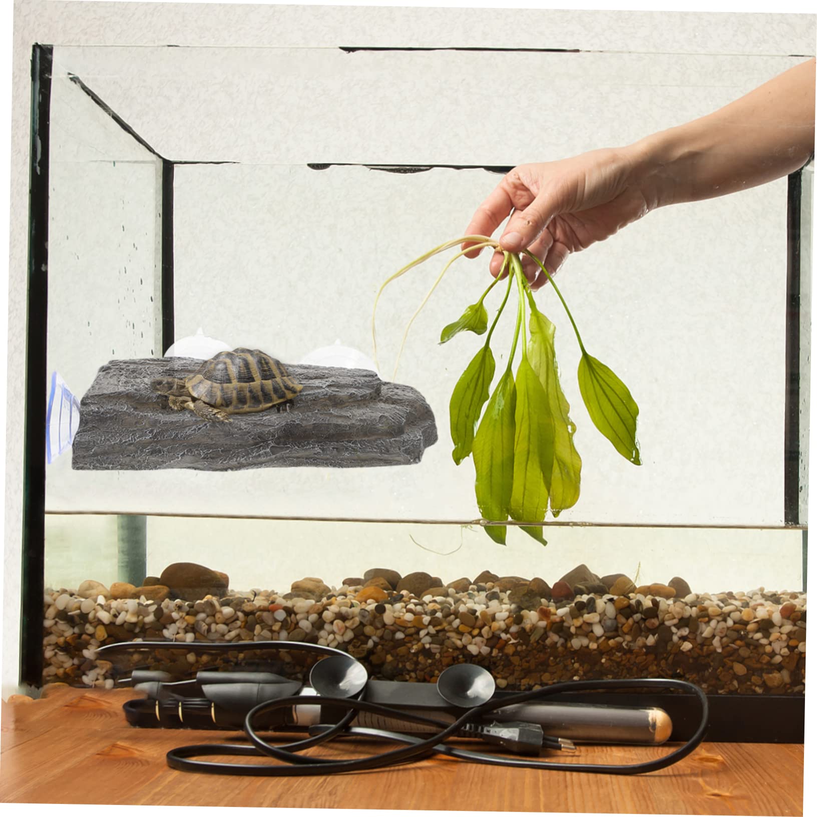 2 Stück Schildkröten Sonnenplattformen Mit Saugnäpfen - Schwimmende Ruheplätze Für Aquarium