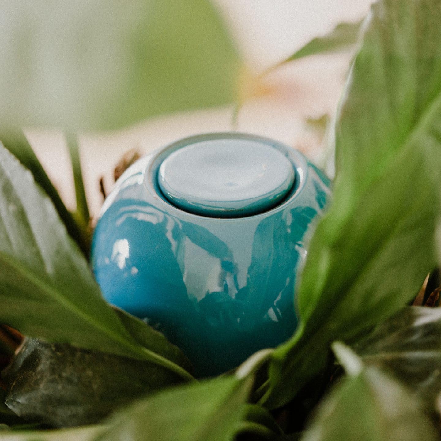 Ollas Lutton Mini Olla Terre Cuite 25cl - Arrosage Automatique Écologique Pour Plantes Intérieur Et Extérieur